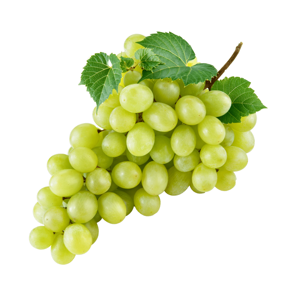 https://binksberryhollow.com/wp-content/uploads/2021/12/green-grape-1030x1030.png