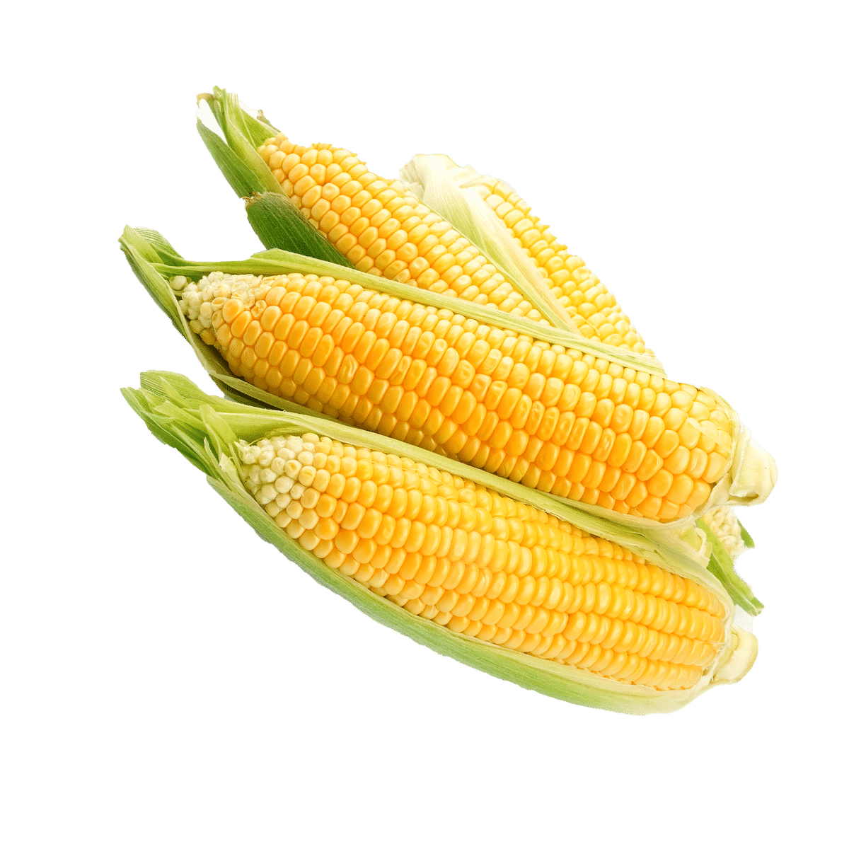 Local Sweet Corn (Trusted Supplier) - BinksBerry Hollow