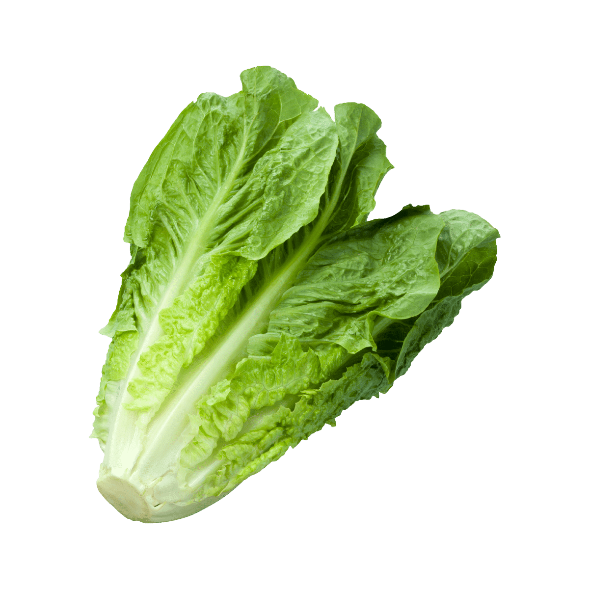 Leafy green suppliers