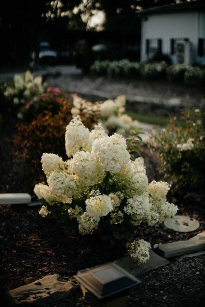 8.9.2026. Madeline Harning & Paul Bavisotto. Emily Braun Photography. Summer Wedding 4